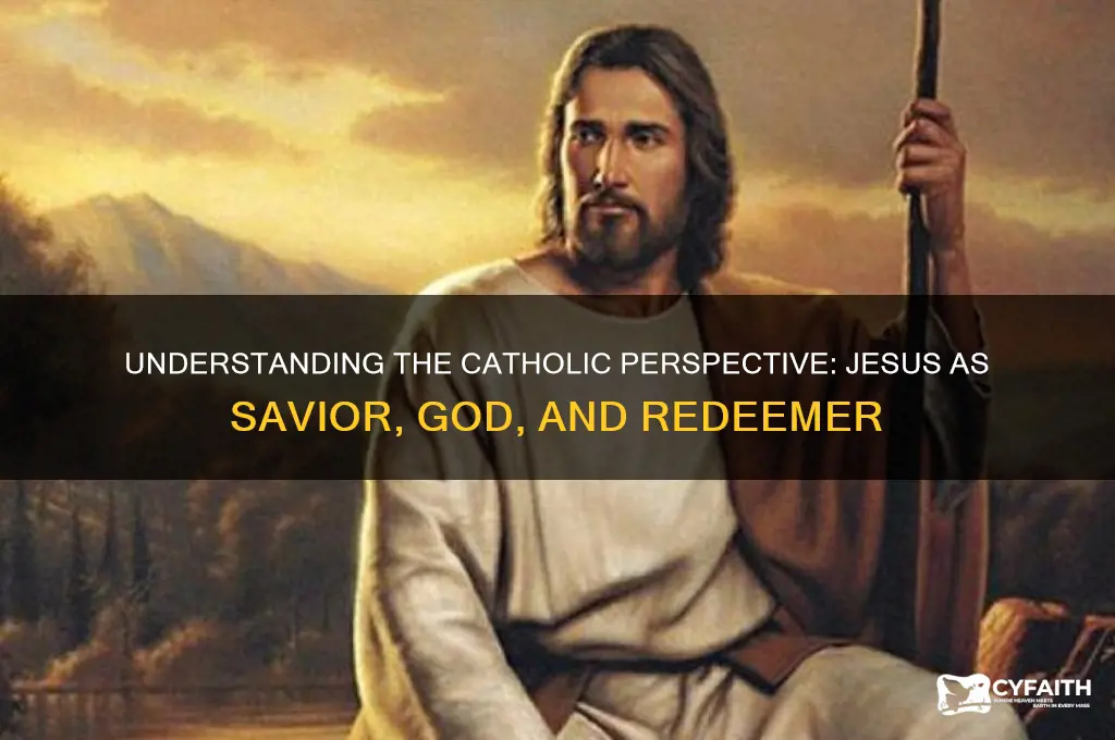 how do catholics see jesus