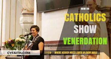 Understanding Catholic Veneration: Practices, Prayers, and Devotional Expressions