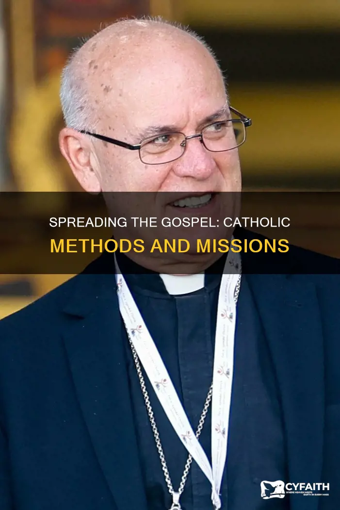 how do catholics spread the gospe