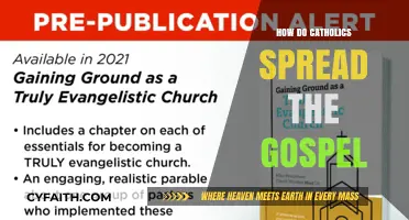 Spreading the Gospel: Catholic Evangelism Techniques