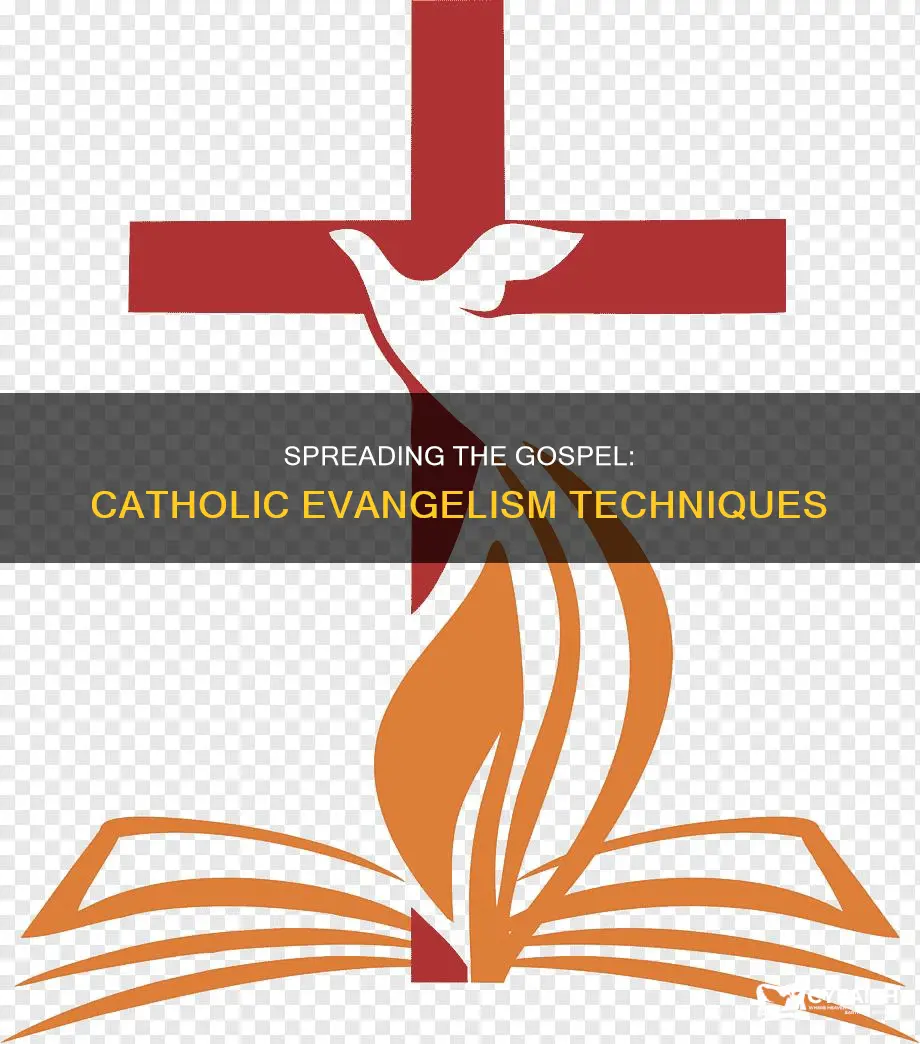 how do catholics spread the gospel