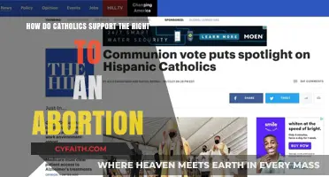 Catholics, Abortion Rights, and the Complexities of Moral Support