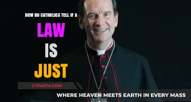 Discerning Justice: A Catholic Guide to Evaluating Moral Laws