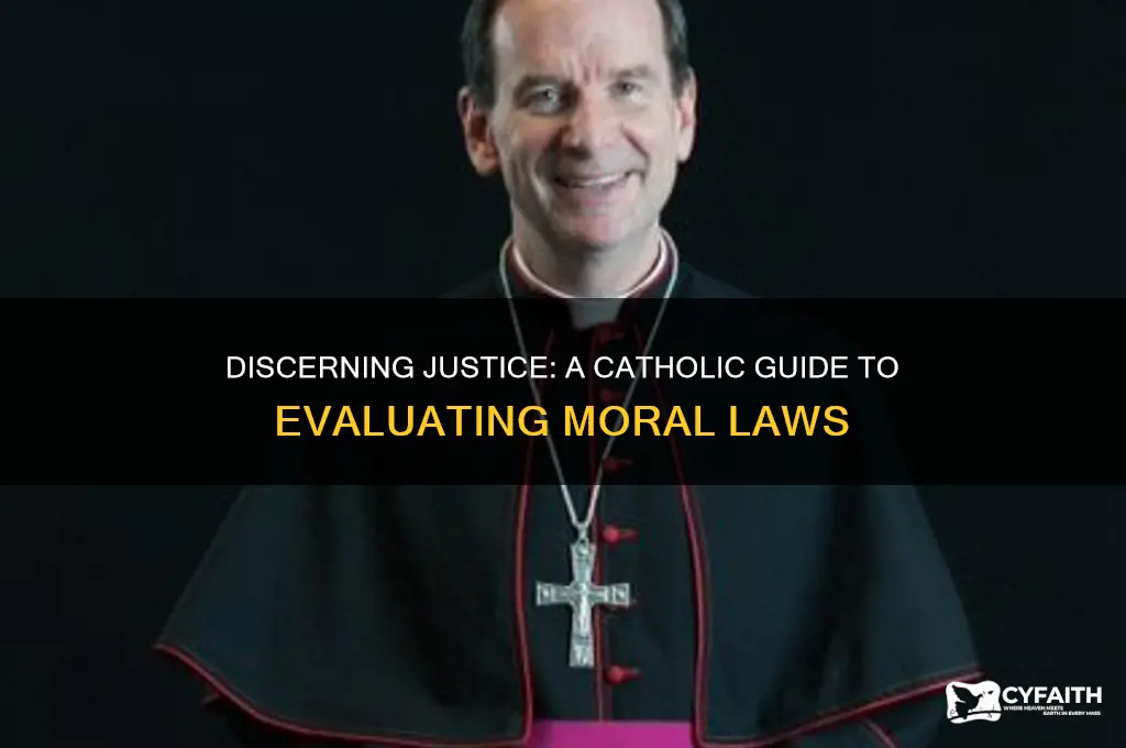 how do catholics tell if a law is just