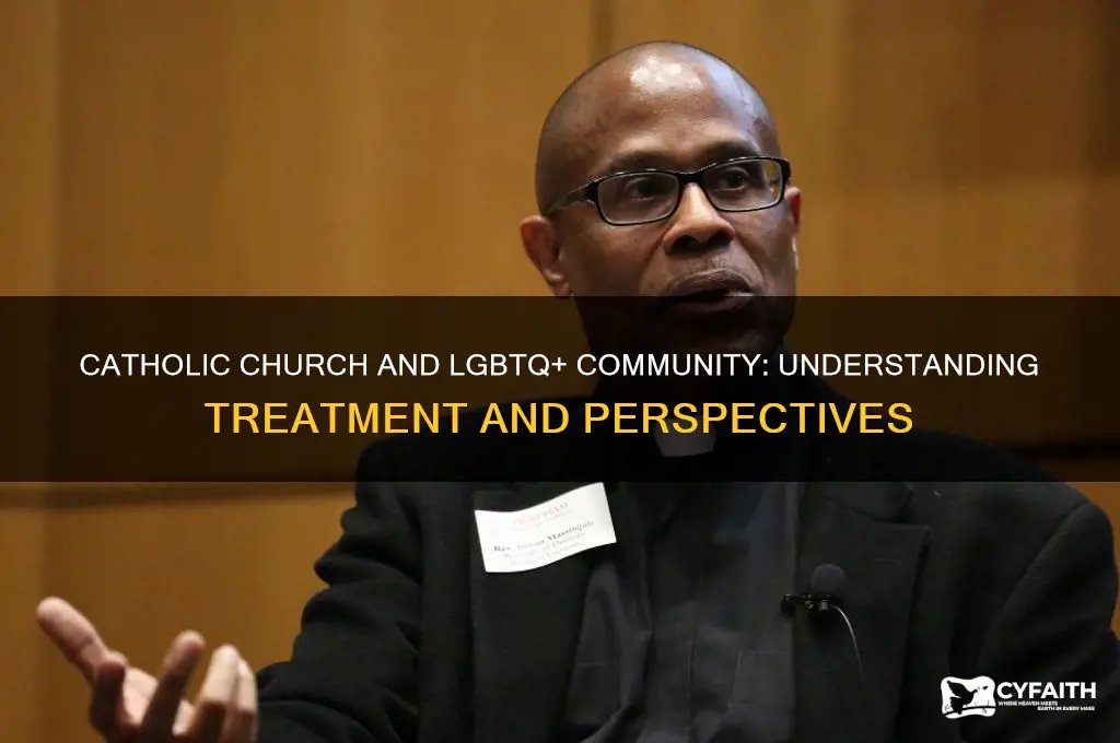 how do catholics treat gays