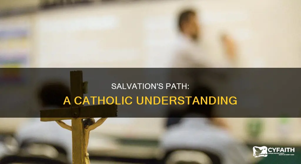how do catholics understand the path to salvation