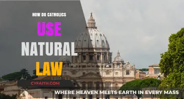 Natural Law: A Guide for Catholics