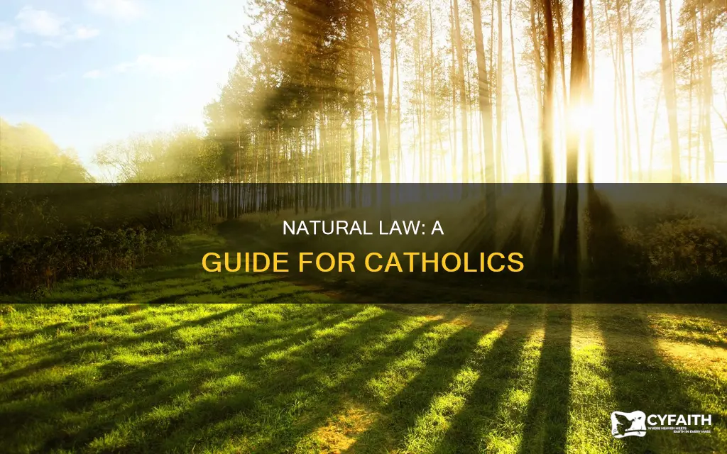 how do catholics use natural law