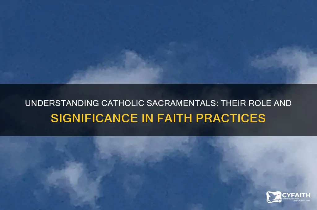 how do catholics use sacramentals