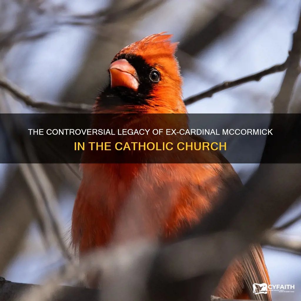 how do catholics veiw ex cardinal mccormick
