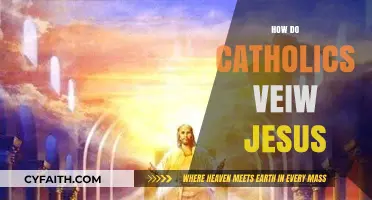 Understanding the Catholic Perspective: Jesus as Savior, Lord, and Divine Son