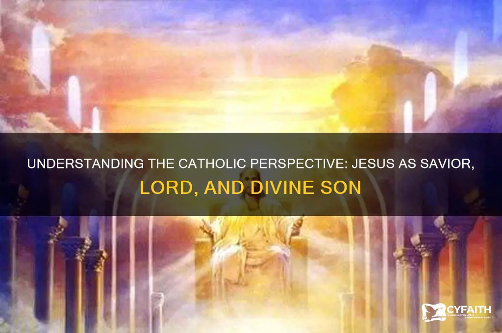how do catholics veiw jesus