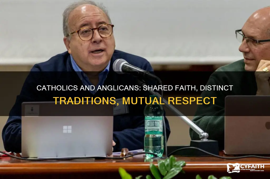 how do catholics view anglicans