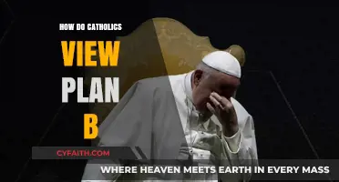 Catholics and Plan B: What's the Stance?