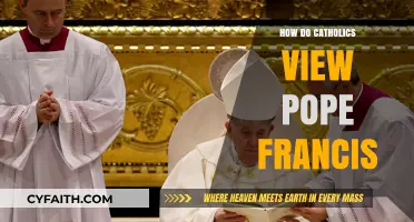 Pope Francis: A Catholic Perspective