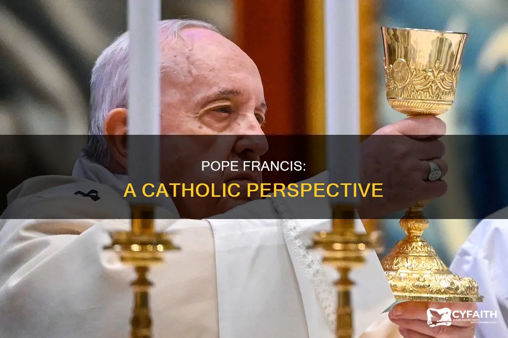 how do catholics view pope francis