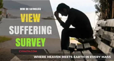 Suffering and Catholics: A Survey-Based Perspective