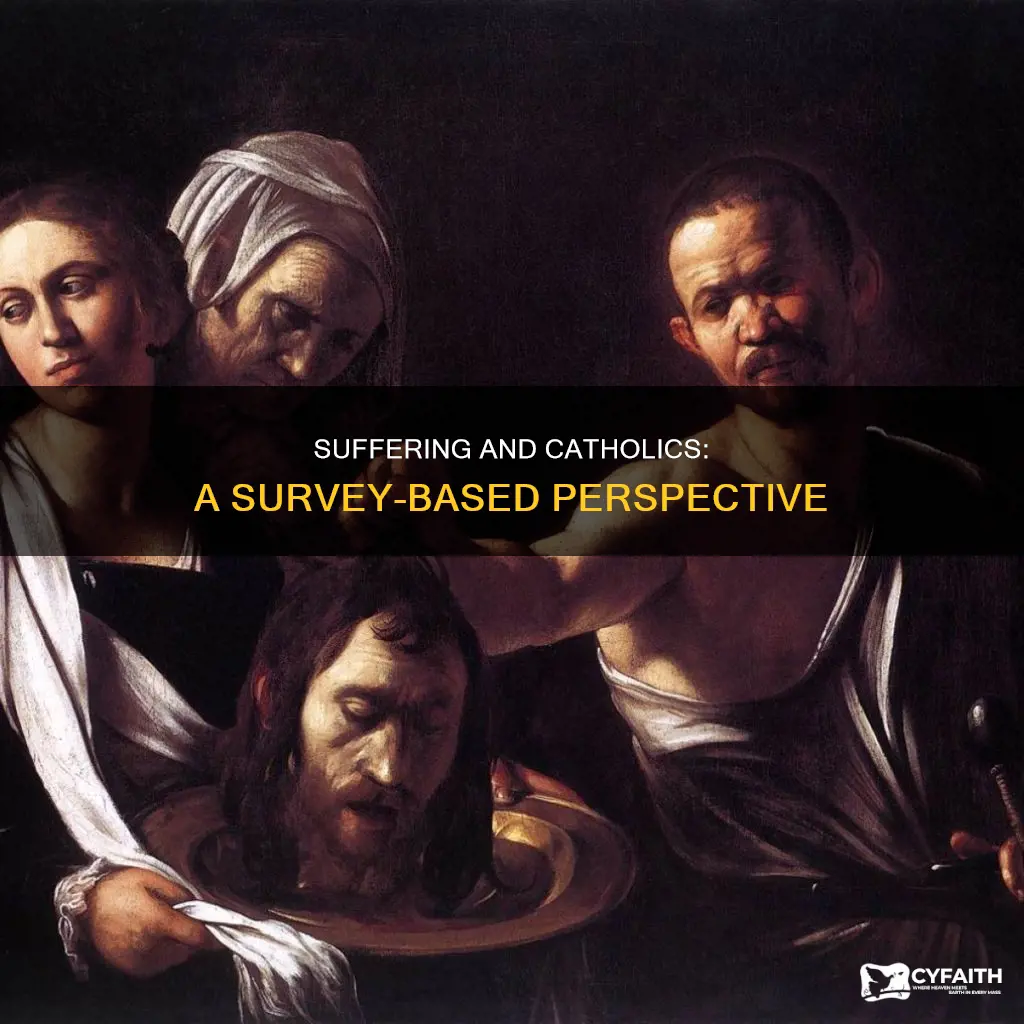 how do catholics view suffering survey