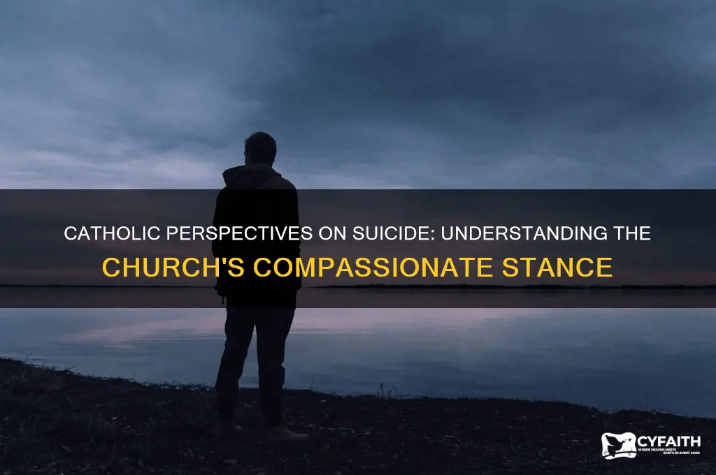 how do catholics view suicide