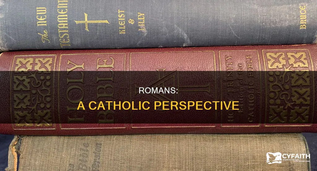 how do catholics view the book of romans
