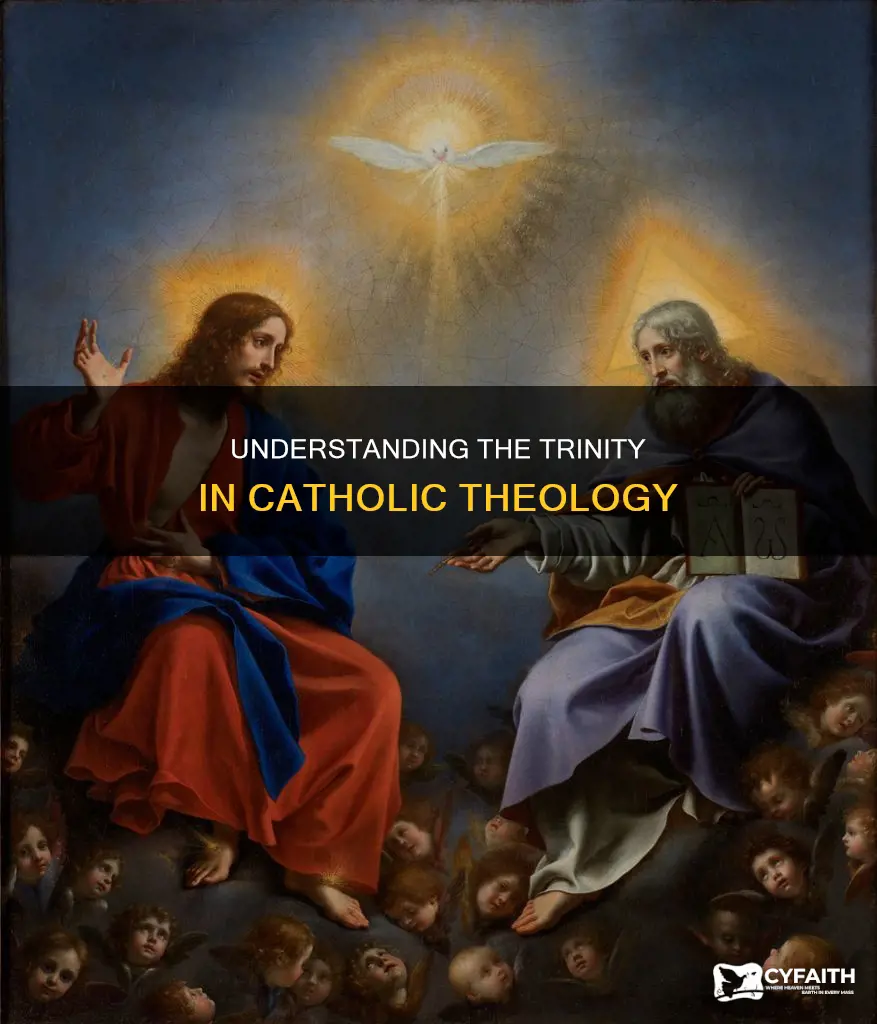 how do catholics view the trinity