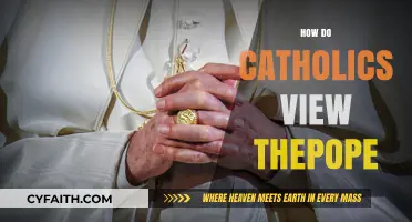 Understanding the Catholic Perspective: The Pope's Role and Significance