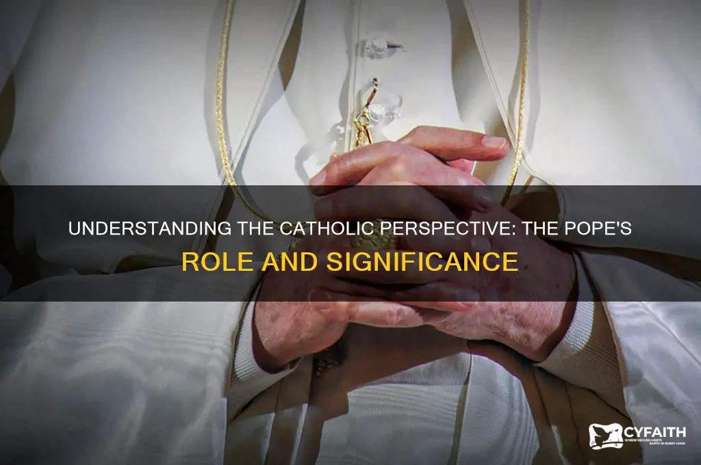 how do catholics view thepope