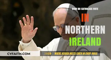 Catholics' Voting Trends in Northern Ireland: A Complex Picture