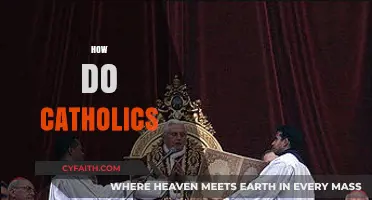 Understanding Catholic Practices: Faith, Sacraments, and Daily Life Explained