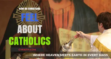 Christian Viewpoints on Catholicism: Exploring Religious Perspectives