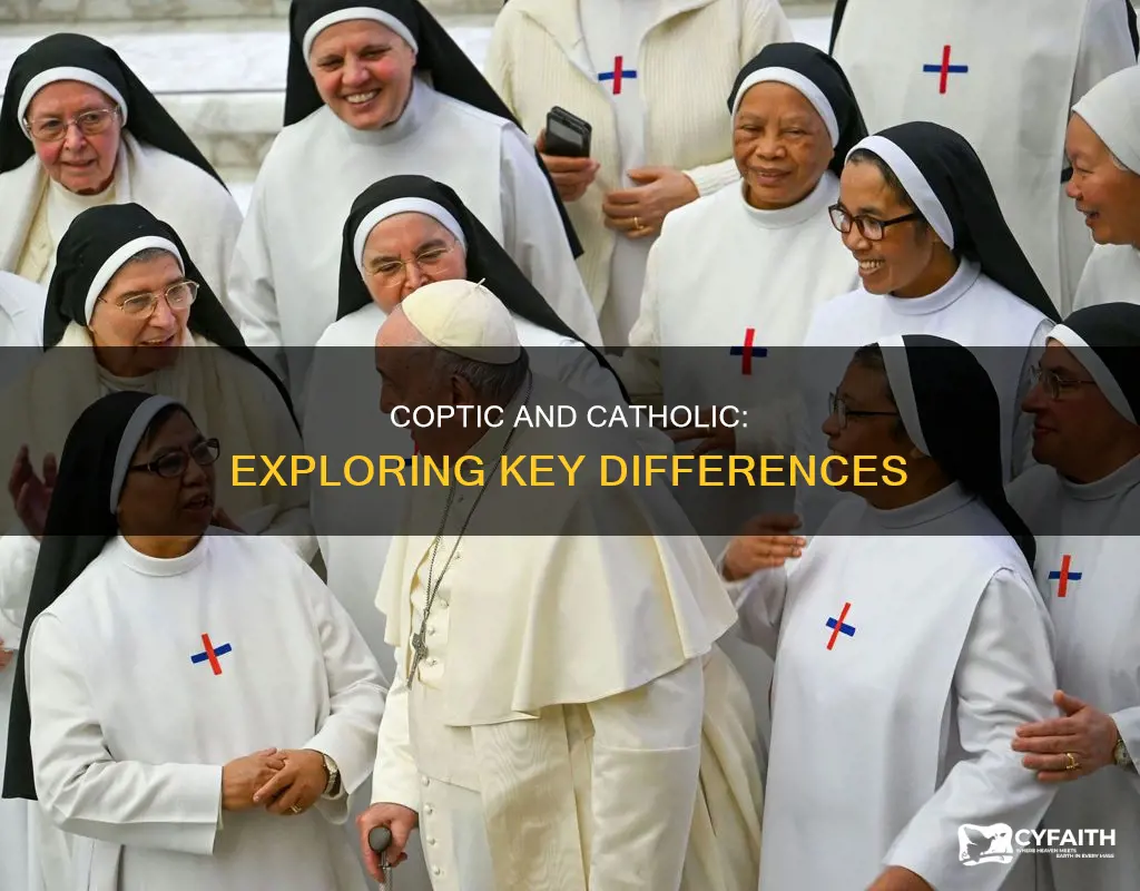 how do coptic and catholic differ