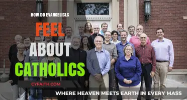Evangelicals' View on Catholics: A Complex Relationship