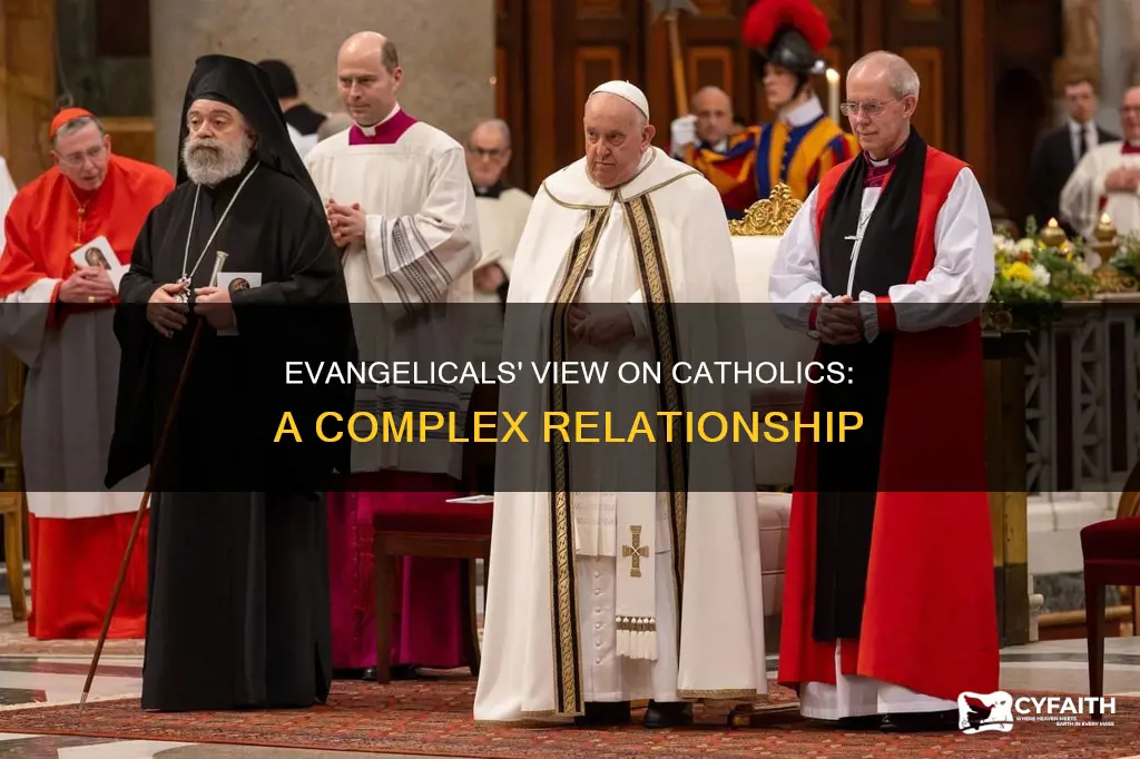 how do evangelicls feel about catholics