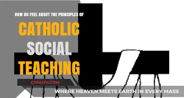Catholic Social Teaching Principles: Reflecting on Faith, Justice, and Compassion