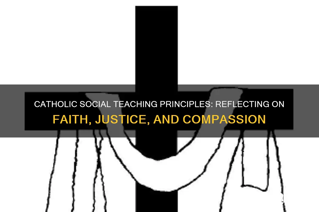 how do feel about the principles of catholic social teaching