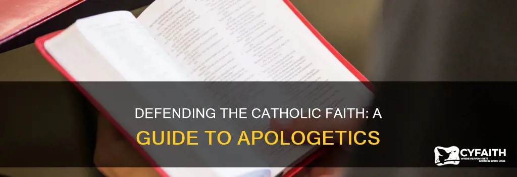 how do i become a catholic apologist