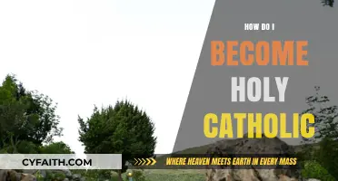 Living a Holy Catholic Life: A Guide