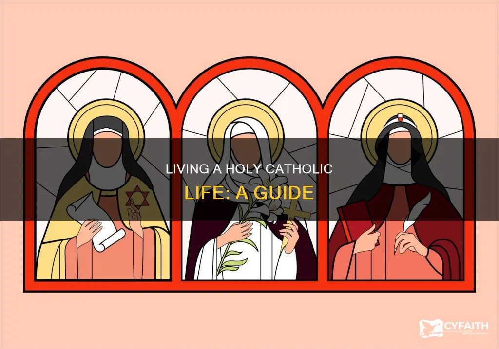 how do i become holy catholic