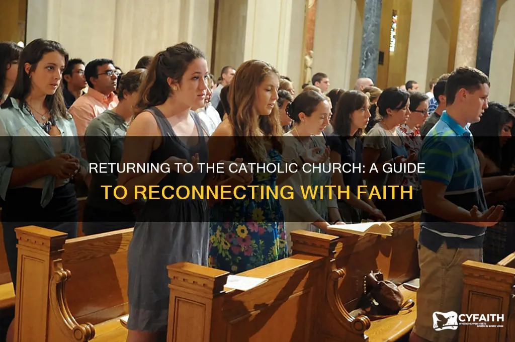 how do i come back to the catholic churcjh