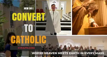 The Path to Becoming Catholic