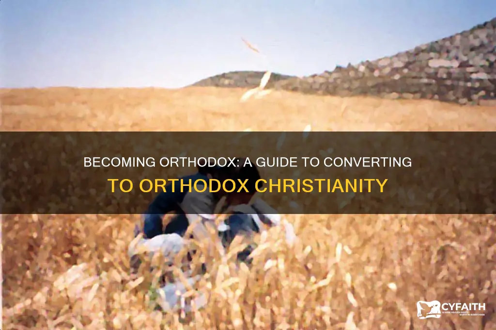 how do i convert to orthodox christianity