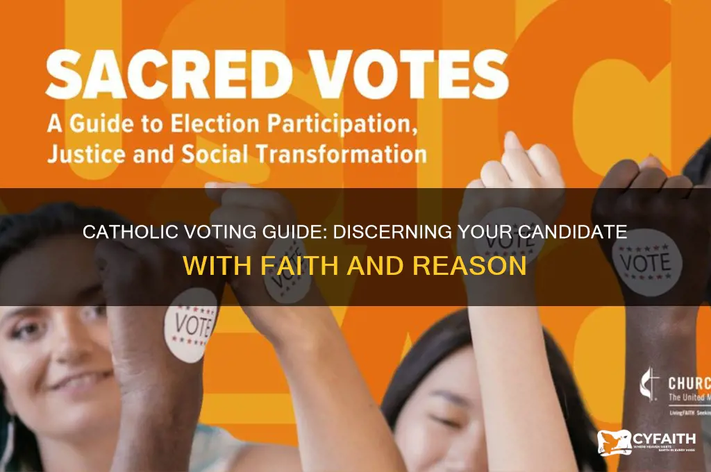 how do i decide who to vote for catholic