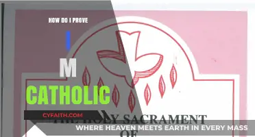 Proving Catholic Faith: What You Need to Know