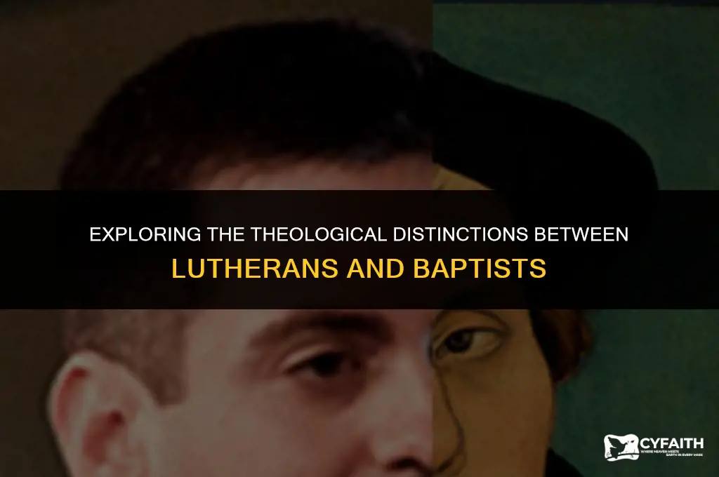 how do lutherans and baptists differ