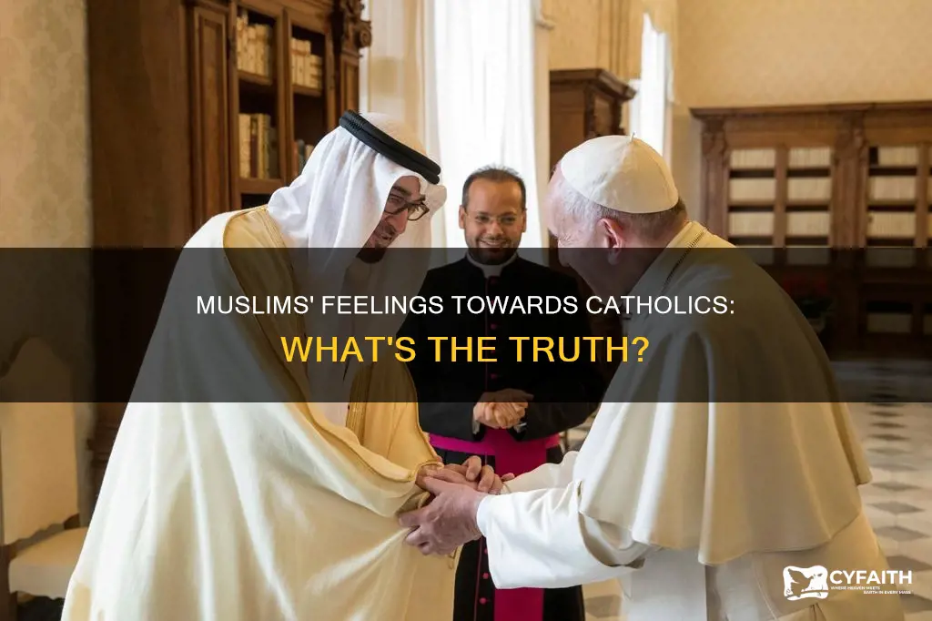 how do muslims feel about catholics