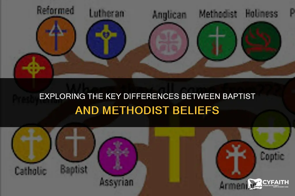 how do o baptist and methodist differ