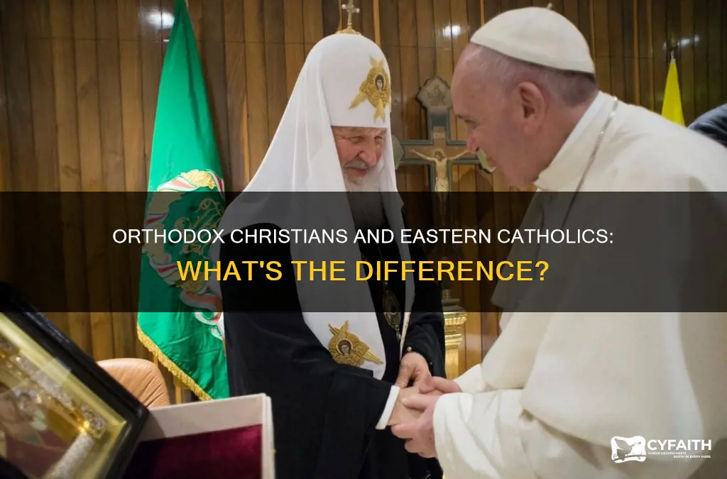 how do orthodox christians view eastern catholics
