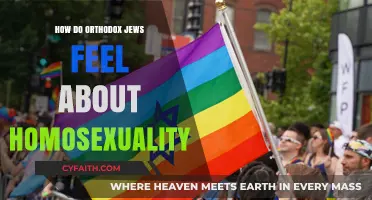Orthodox Jewish Perspectives on Homosexuality: Faith, Tradition, and Community Views