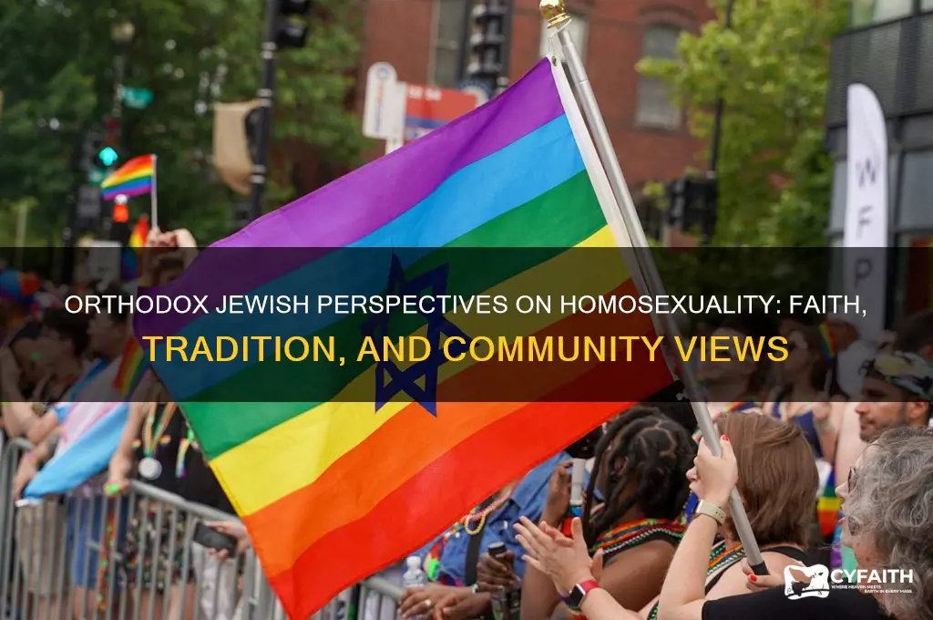 how do orthodox jews feel about homosexuality