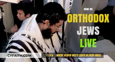 Orthodox Jewish Life: Traditions, Daily Practices, and Community Values Explained